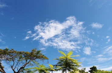 Obraz premium バリ、サヌールの青空