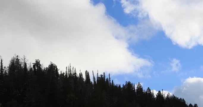 Mountain pine forest silhouette clouds. Wasatch Mountain range fast moving clouds on horizon of pine forest. Beautiful nature landscape. Uinta National Forest and wilderness area. Fast time lapse.