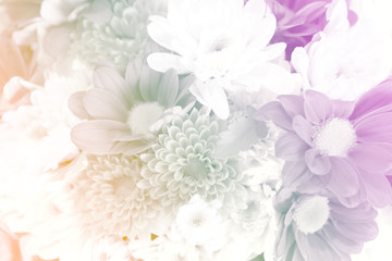 Obraz premium Flower Background