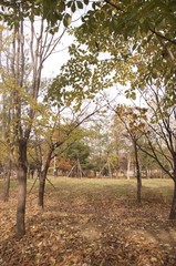 가을풍경
