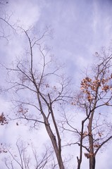 가을 풍경