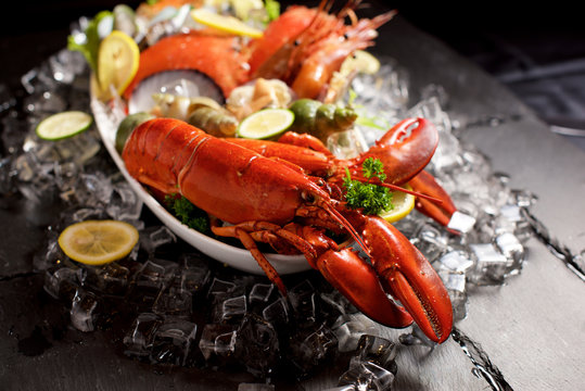 Seafood lobster plater on slate