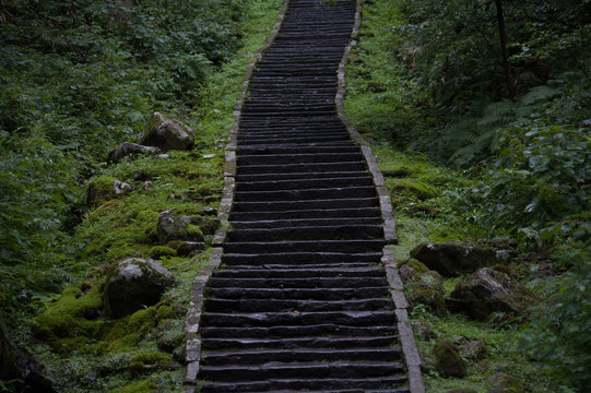 羽黒山石段参道