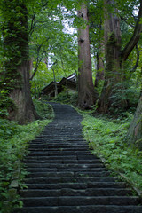 Obraz premium 山の上の参道