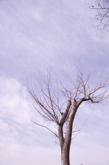 Obraz premium 가을 풍경