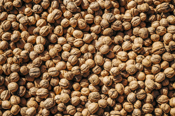 Crude walnut with nutshell. Walnuts in market lying in the sun and dries. Background of walnuts. Healthy walnuts. Fresh walnuts. Walnut pattern and texture, scattered pile of walnuts.