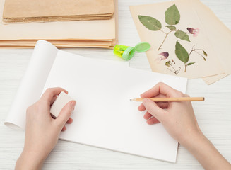  herbarium of flowers and grasses