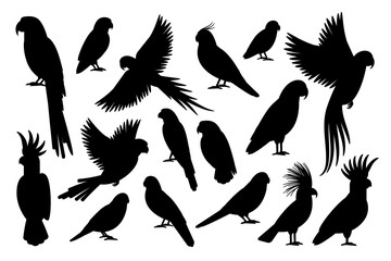 Vector parrot silhouettes of amazon jungle isolated on white background - obrazy, fototapety, plakaty