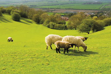 Obraz premium burton dassett country park warwickshire england uk