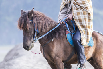 Obraz premium People and lifestyle at Bromo Mount, Indonesia