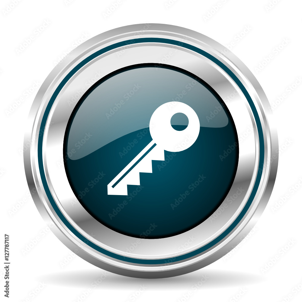 Poster key vector icon. chrome border round web button. silver metallic pushbutton.