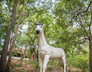 Obraz premium Beutiful white horse rat in temple Thailand