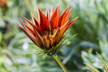 General landscape around Mt Bromo, Indonesia