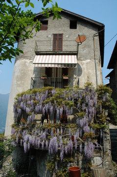 Casa di campagna con glicine in fiore