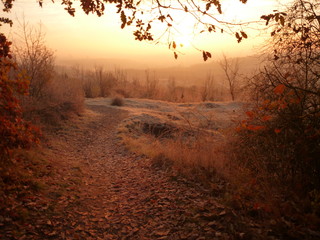 Obraz premium piękny wschód słońca w chłodny poranek listopada