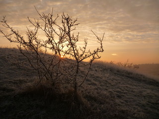 Fototapeta premium beautiful sunrise in a chilly november morning