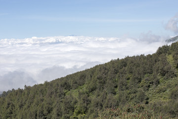 General landscape around Mt Bromo, Indonesia