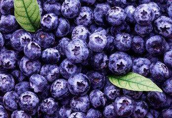 closeup fresh picked blueberries