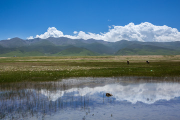 travel