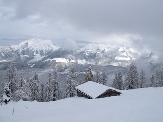 Fototapeta na wymiar Winterlandschaft Alm Berge Wald