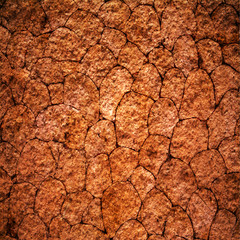 abstract brown background texture