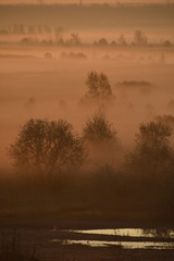 Nebelland in der neuen Landschaft nach dem Bergbau