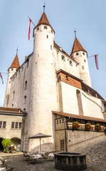 Fototapeta na wymiar View at the castle Thun - Switzerland