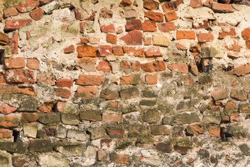 Old brick wall, under construction