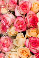 Pattern roses background