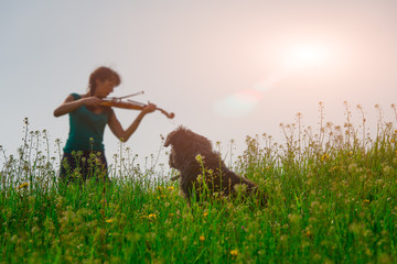 Dog watching girl playing violin in nature © michelangeloop
