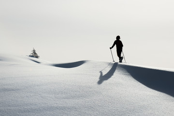 Randonnee ski trails alone