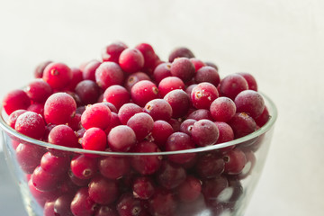 Red Cranberries Closeup