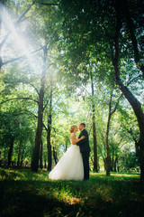couple bride and groom on the background of the park's trees