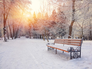 Park bench and trees covered by heavy snow - Powered by Adobe