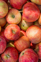Close up of the red ripe apples as background.