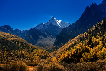 The Snow mountain sanctuary with Autumn tree color at national level reserve in Daocheng County, in the southwest of Sichuan Province, China.