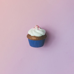 Cupcake on pink background.