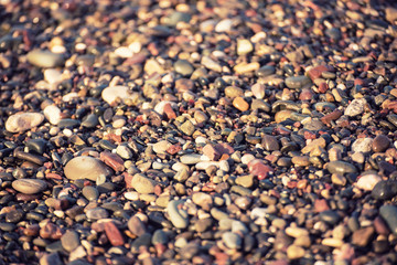 Sea pebble colorful wet background, vintage hipster image