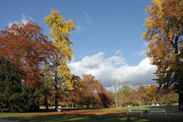 Herbst im Großen Garten in Dresden