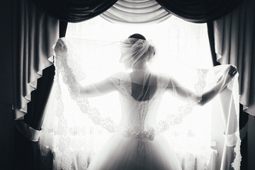 silhouette of a bride is standing at the window and holding a veil. black and white portrait of a bride from the back.