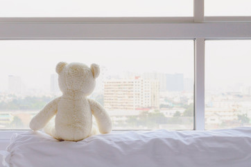 White Teddy Bear Doll Looking Through Window