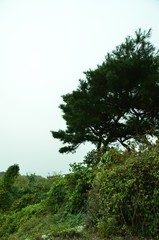 Fototapeta premium 가을 풍경