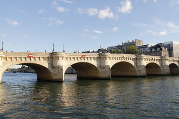 Naklejka premium Pont Neuf sur la Seine à Paris 