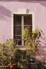 Fototapeta na wymiar Maison rose, rue Crémieux à Paris