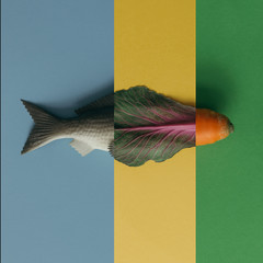 Creative colorful layout made of fish and vegetables.  Food conc