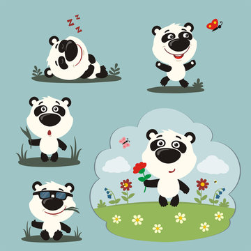 Vector set donkey bear in different poses on summer meadow with flowers. Collection panda bear in cartoon style.