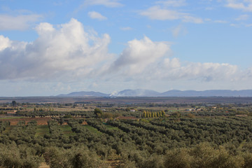 MONTES DE TOLEDO