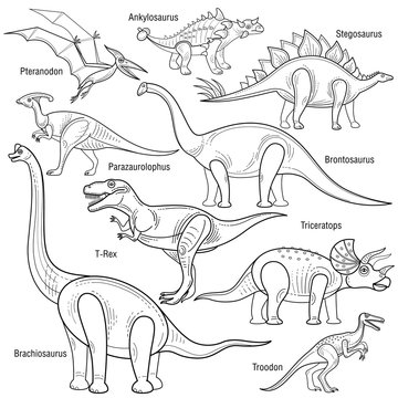 Vector illustration of different dinosaurs.