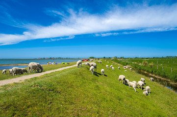 Am Hochwasserdamm in Lemkenhafen auf Fehmarn