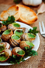 Escargots de Bourgogne - Snails with herbs butter, gourmet dish in French traditional  with parsley and bread on white platter